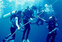 Dive Safety Training (Photo by Divemaster)